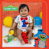 Boys birthday Elmo Shirt