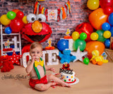 Boys Sesame Street Cake Smash Outfit