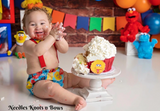 Boys Sesame Street Cake Smash Outfit.