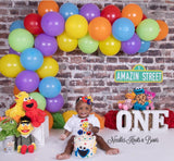 First Birthday Outfit for girl in a Sesame Street theme.  Cake Smash Outfit for girl