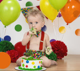 Boys Very Hungry Caterpillar 1st Birthday Outfit