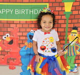 Girls Sesame Street 2nd Birthday Tutu Outfit