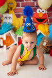 Boys Sesame Street Character Cake Smash Outfit.  This is one of our little customers photo shoots that they so kindly shared with us. 