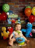 Boys Cookie Monster Cake Smash Outfit, 1st Birthday Outfit Boy