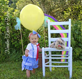 Girls Wizard of Oz Dorothy Outfit / Baby Costume